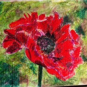 Meet your Posher, Lois